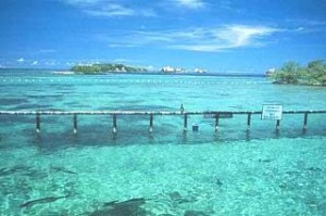 isole caraibiche arcipelago del Rosario Colombia
